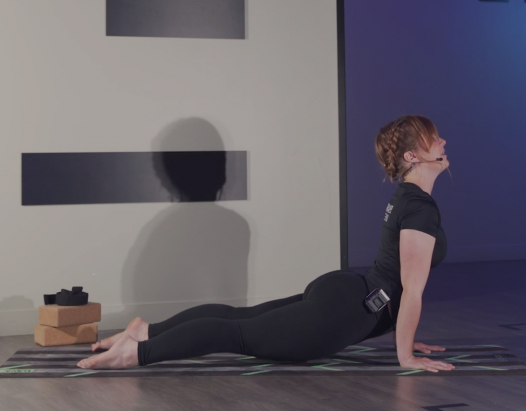 Vidéo Chaturanga Dandasana